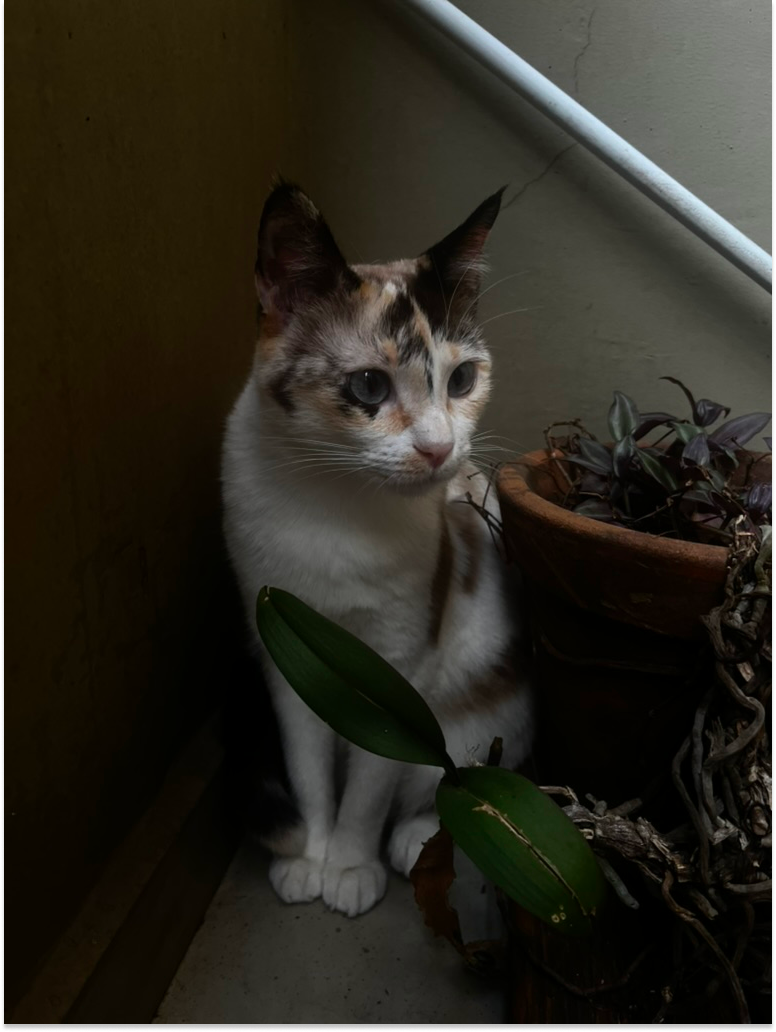 Maggie beside plants